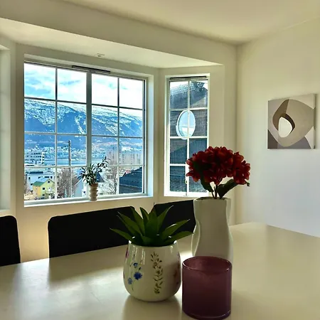 Modern House With Great View! דירה טרומסה